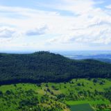 責任ある森林管理 FSC®(CoC)認証取得